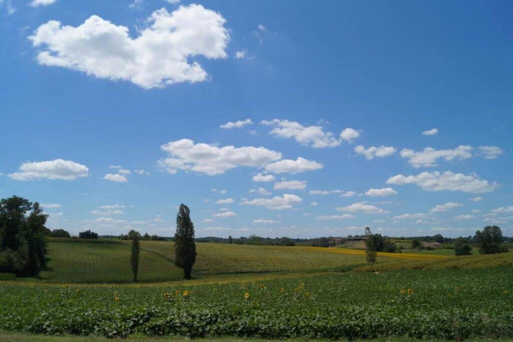 Gite Rural Saint-Pierre-sur-Dropt Екстер'єр фото